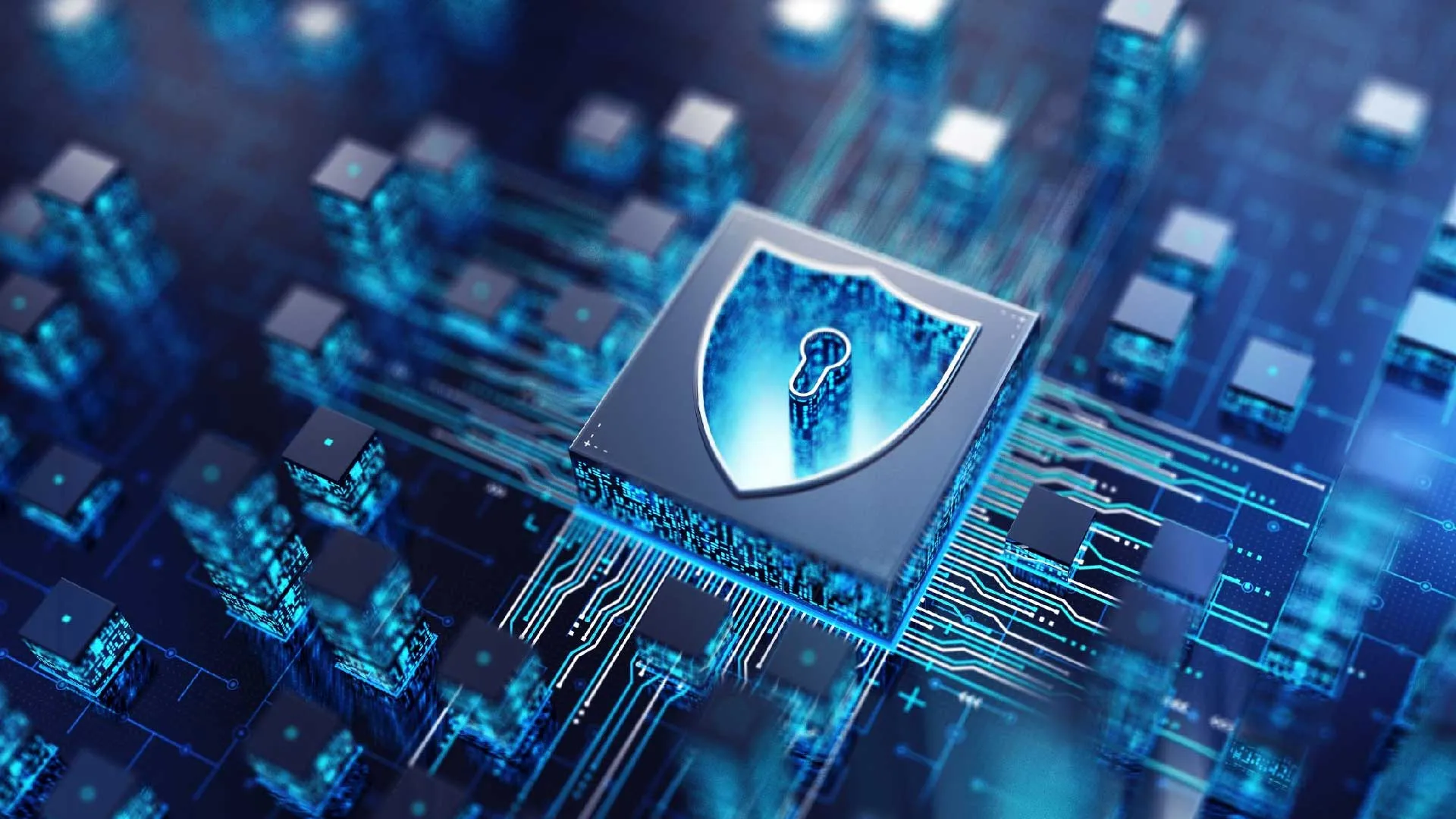 Network Security